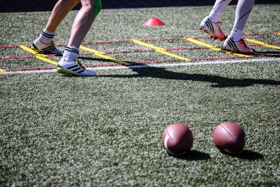 agility ladder drills pdf