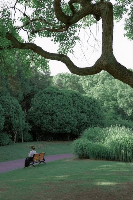 playground pdf