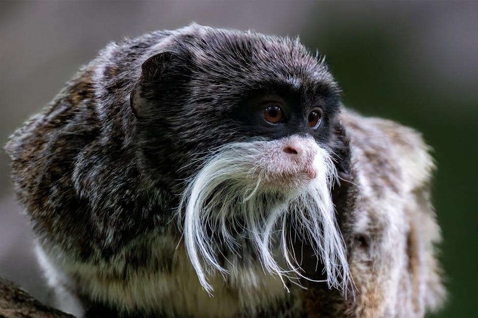 grumpy monkey pdf