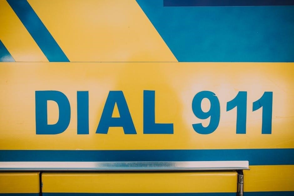 diesel 911 instructions
